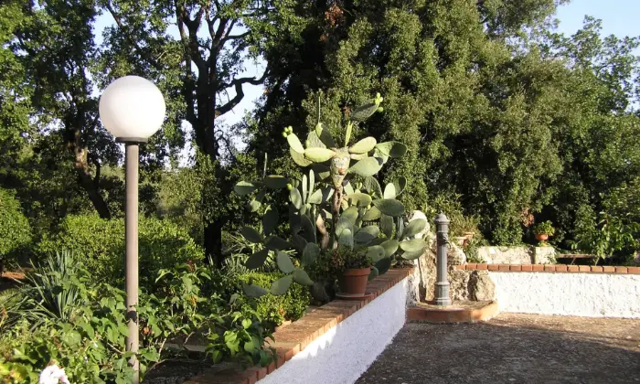 Rexer-Noto-Villetta-Buen-Retiro-Giardino