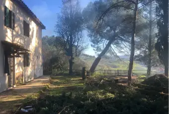 Rexer-Castelfiorentino-Casalecascina-in-vendita-in-via-O-Bacci-Castelfiorentino-Terrazzo