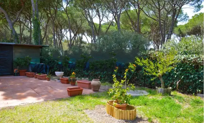 Rexer-Orbetello-Villa-indipendente-in-vendita-ad-Orbetello-GR-Giardino