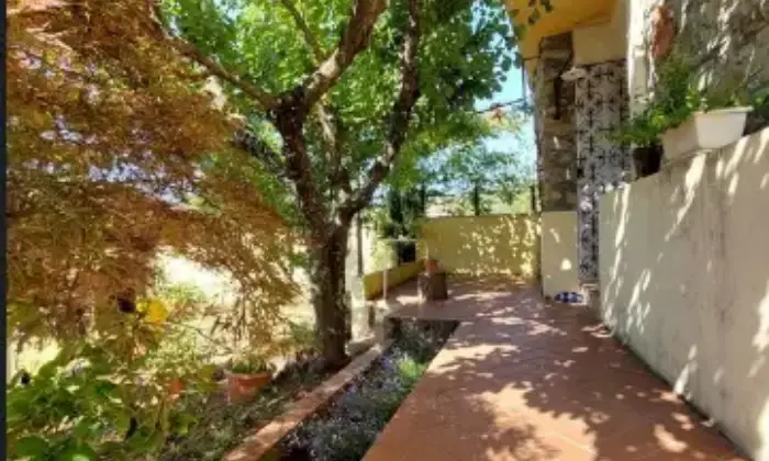 Rexer-Aulla-Casa-Indipendente-in-Vendita-in-Via-Colletto-ad-Aulla-Giardino