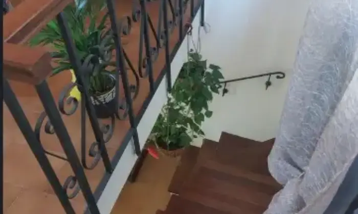 Rexer-Aulla-Casa-Indipendente-in-Vendita-in-Via-Colletto-ad-Aulla-Altro