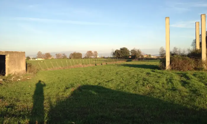 Rexer-Anzio-VENDESI-TERRENI-ARICOLO-ED-INDUSTRIALE-PER-FOTOVOLTAICO-Altro