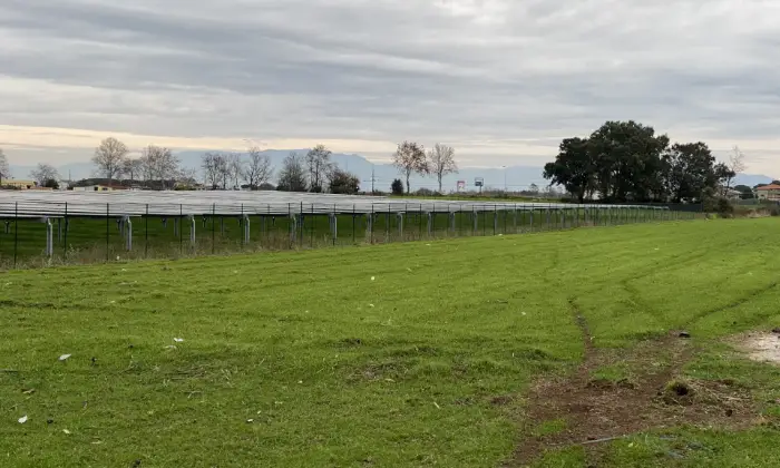 Rexer-Anzio-VENDESI-TERRENI-ARICOLO-ED-INDUSTRIALE-PER-FOTOVOLTAICO-Terrazzo