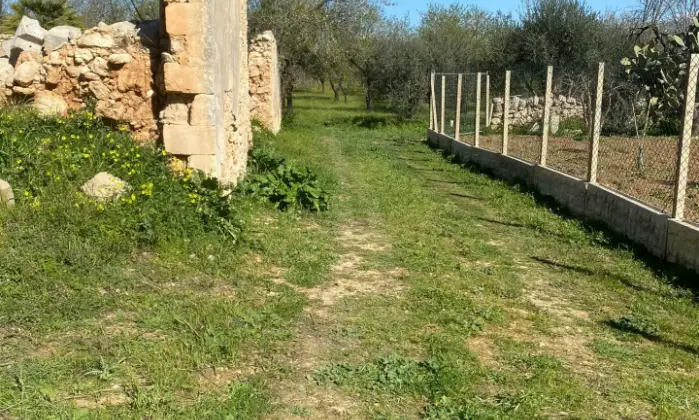 Rexer-Noto-Terreno-pianeggiante-Noto-Cda-volpiglia-Giardino