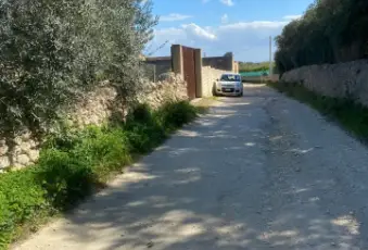 Rexer-Noto-Terreno-pianeggiante-Noto-Cda-volpiglia-Giardino