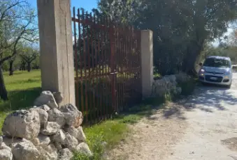 Rexer-Noto-Terreno-pianeggiante-Noto-Cda-volpiglia-Giardino