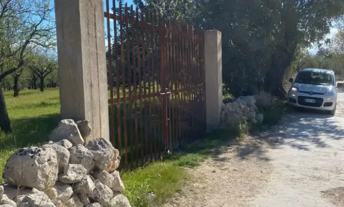 Rexer-Noto-Terreno-pianeggiante-Noto-Cda-volpiglia-Giardino