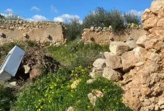 Rexer-Noto-Terreno-pianeggiante-Noto-Cda-volpiglia-Terrazzo