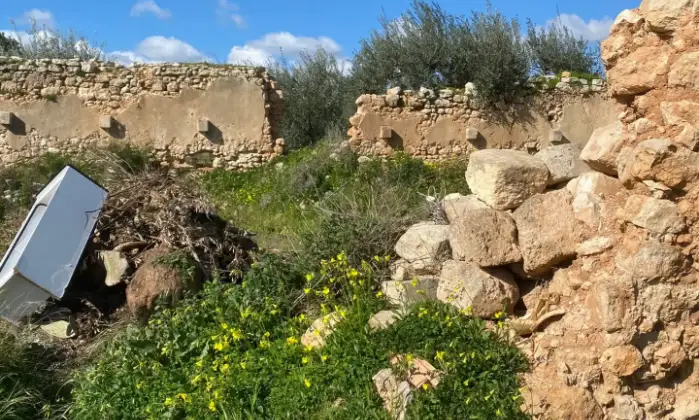 Rexer-Noto-Terreno-pianeggiante-Noto-Cda-volpiglia-Terrazzo