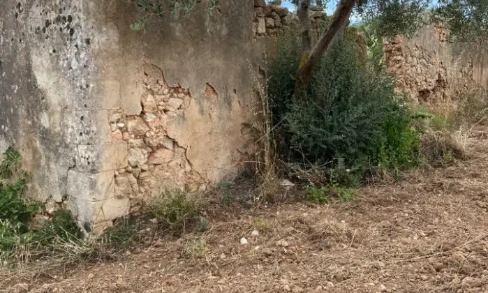 Rexer-Noto-Terreno-pianeggiante-Noto-Cda-volpiglia-Terrazzo