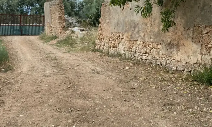 Rexer-Noto-Terreno-pianeggiante-Noto-Cda-volpiglia-Terrazzo