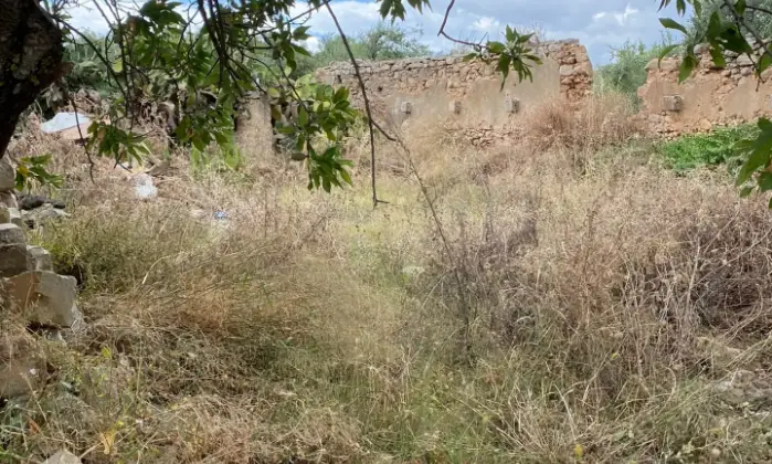 Rexer-Noto-Terreno-pianeggiante-Noto-Cda-volpiglia-Terrazzo