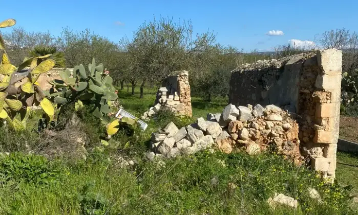Rexer-Noto-Terreno-pianeggiante-Noto-Cda-volpiglia-Terrazzo