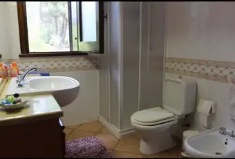 Rexer-Piazza-Armerina-Villa-Giulia-nel-bosco-Bagno
