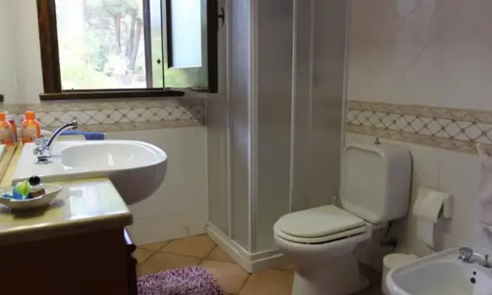 Rexer-Piazza-Armerina-Villa-Giulia-nel-bosco-Bagno
