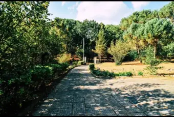 Rexer-Piazza-Armerina-Villa-Giulia-nel-bosco-Terrazzo