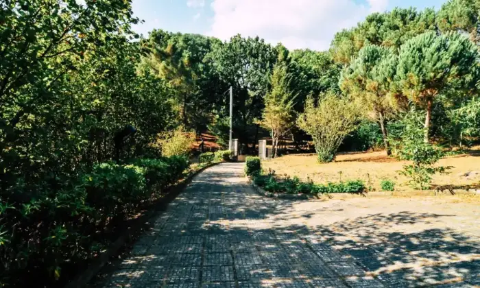 Rexer-Piazza-Armerina-Villa-Giulia-nel-bosco-Terrazzo