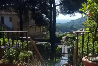Rexer-Trecastagni-Villetta-a-schiera-in-affitto-in-via-Papa-Giovanni-XXIII-TERRAZZO