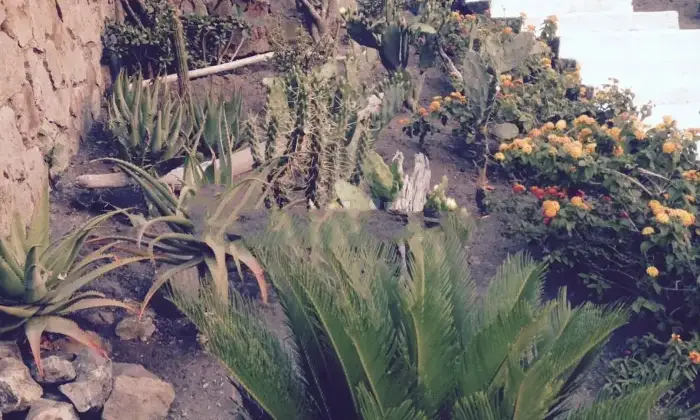 Rexer-Vulcano-Porto-Villa-bifamiliare-Contrada-Lentia-Vulcano-Lipari-Terrazzo