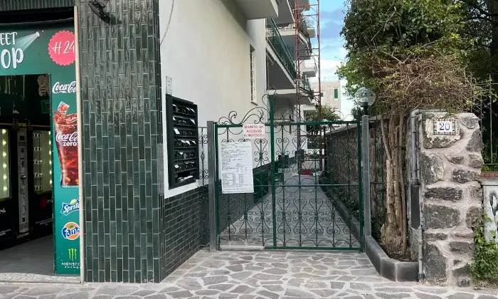 Rexer-Ischia-Appartamento-Ischia-vende-Giardino
