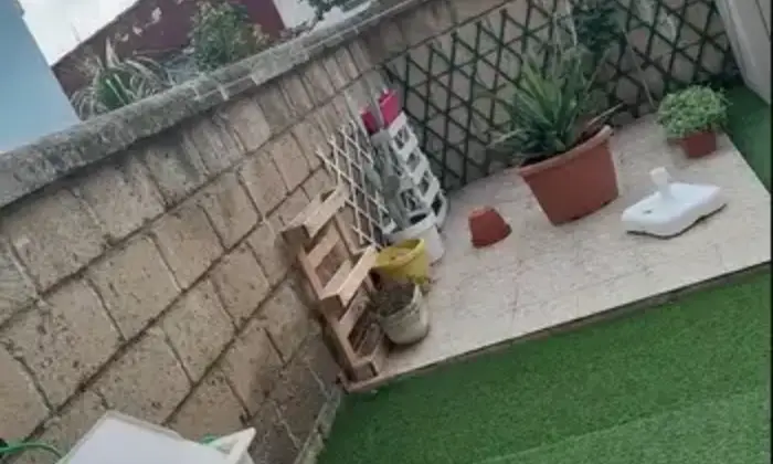 Rexer-Pomezia-Appartamento-in-vendita-in-via-Polonia-a-Torvajanica-Pomezia-Giardino