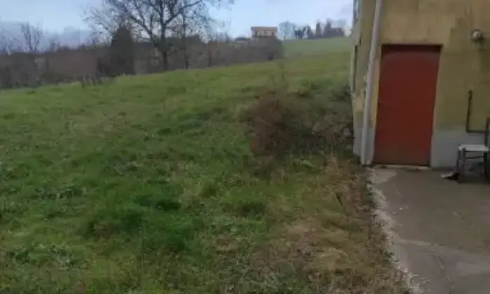 Rexer-Molinara-Propriet-rustica-a-Molinara-BN-in-via-Cesina-Contrada-Fonte-Liveri-Giardino