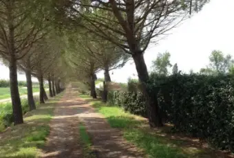 Rexer-Grosseto-Casale-Strada-Provinciale-Bozzone-Braccagni-Grosseto-Terrazzo