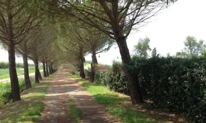 Rexer-Grosseto-Casale-Strada-Provinciale-Bozzone-Braccagni-Grosseto-Terrazzo