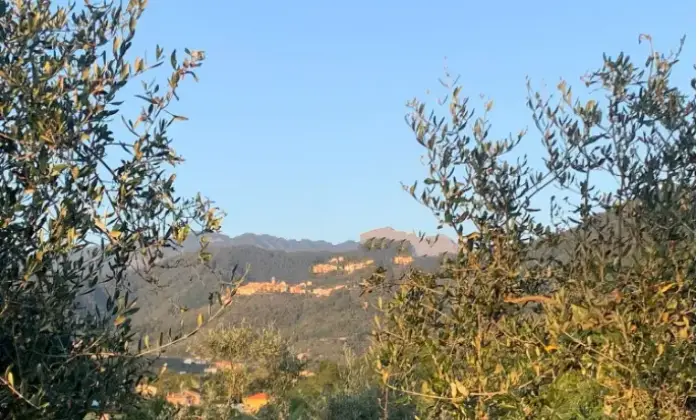 Rexer-Ortonovo-Appartamento-in-vendita-in-via-Bozzi-a-Luni-Terrazzo