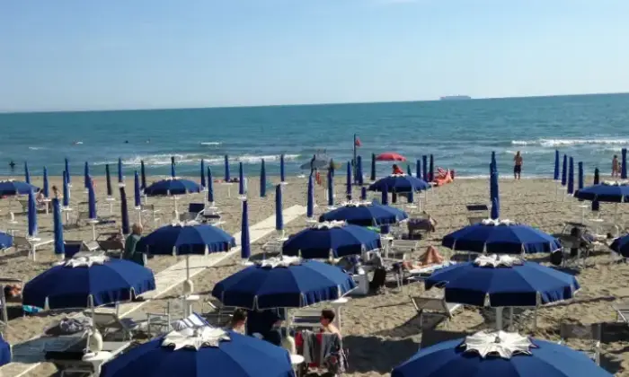 Rexer-Ortonovo-Appartamento-in-vendita-in-via-Bozzi-a-Luni-Altro