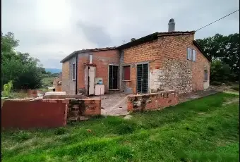Rexer-Trivento-Casa-di-campagna-con-ettaro-e-mezzo-Giardino