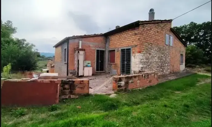 Rexer-Trivento-Casa-di-campagna-con-ettaro-e-mezzo-Giardino