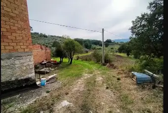 Rexer-Trivento-Casa-di-campagna-con-ettaro-e-mezzo-Giardino