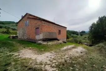 Rexer-Trivento-Casa-di-campagna-con-ettaro-e-mezzo-Terrazzo