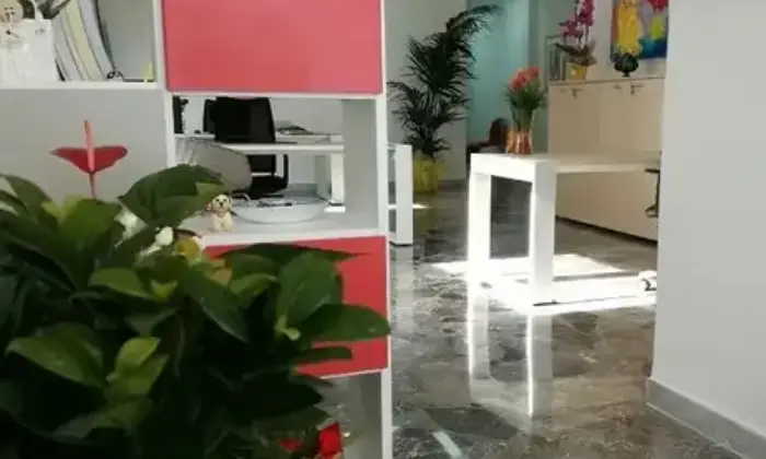 Rexer-Veglie-Palazzo-in-vendita-in-via-Giosu-Carducci-a-Veglie-Altro