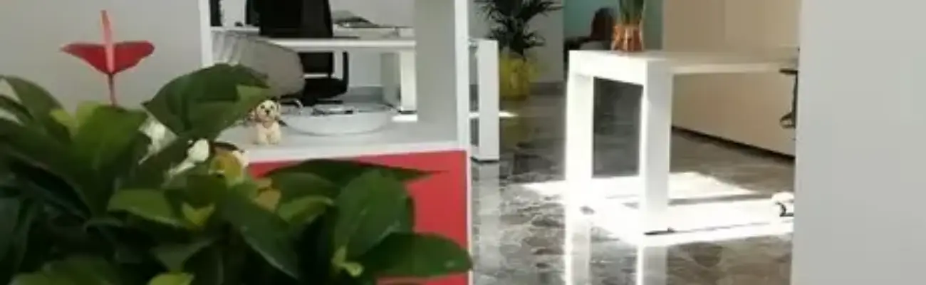 Rexer-Veglie-Appartamento-in-vendita-in-via-Giosu-Carducci-a-Veglie-Altro