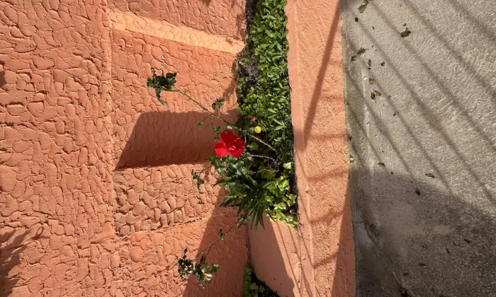 Rexer-La-Maddalena-Casa-indipendente-completa-di-tutti-i-servizi-Terrazzo