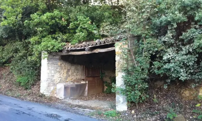 Rexer-Orvieto-Rustico-in-vendita-in-Localit-Poggente-ad-Orvieto-Giardino