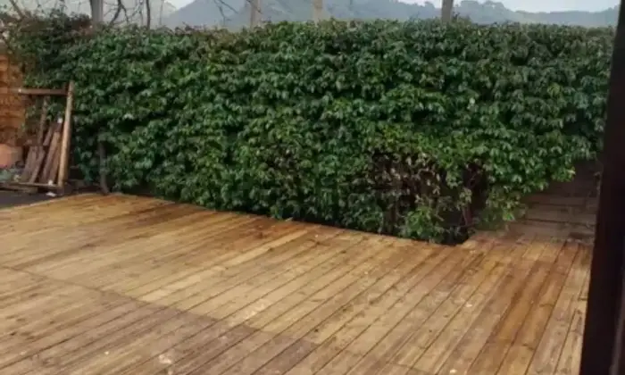 Rexer-Ceriana-Villa-con-piccola-piscina-Altro
