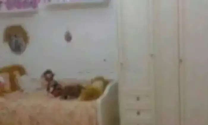 Rexer-Taranto-Vendesi-appartamento-al-piano-rialzato-quartiere-Tamburi-con-parco-condominiale-CameraDaLetto