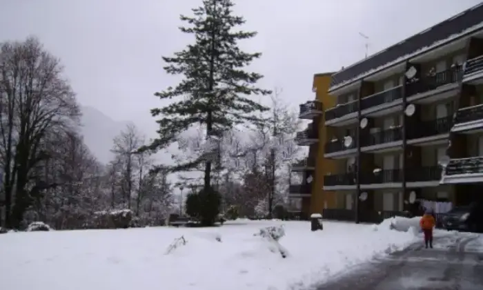 Rexer-Arta-Terme-Appartamento-in-vendita-in-via-Gortani-Arta-Terme-UD-Giardino