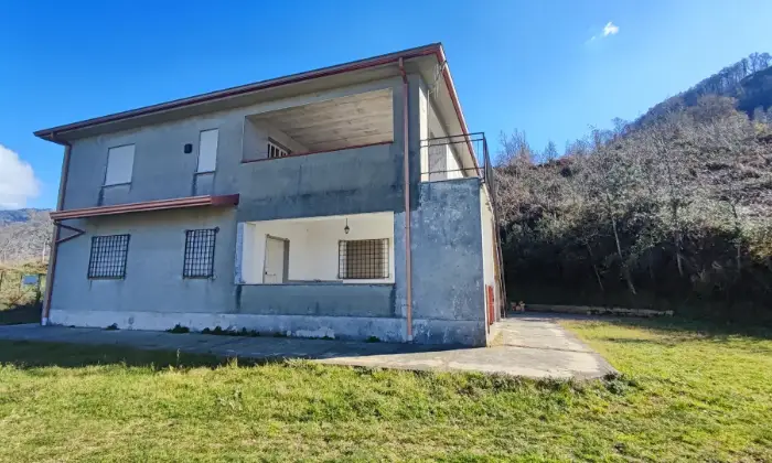 Rexer-Aiello-Calabro-Casa-indipendente-con-annesso-rudere-e-terreno-di-ettari-Altro