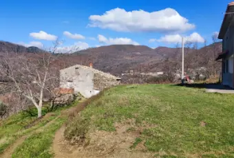 Rexer-Aiello-Calabro-Casa-indipendente-con-annesso-rudere-e-terreno-di-ettari-Altro