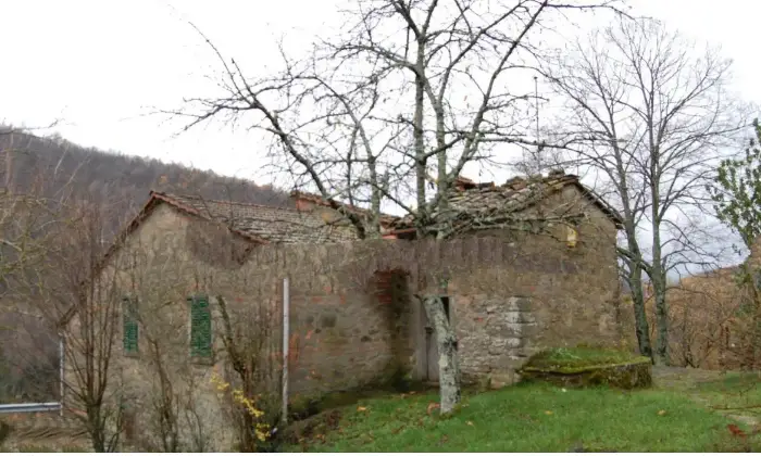Rexer-Pratovecchio-Stia-Casale-Strada-Comunale-della-Ropa-Pratovecchio-Stia-Terrazzo