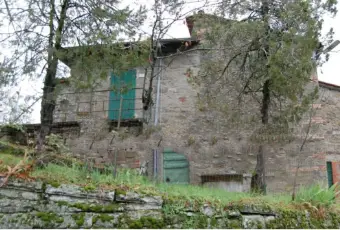 Rexer-Pratovecchio-Stia-Casale-Strada-Comunale-della-Ropa-Pratovecchio-Stia-Giardino