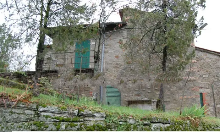 Rexer-Pratovecchio-Stia-Casale-Strada-Comunale-della-Ropa-Pratovecchio-Stia-Giardino