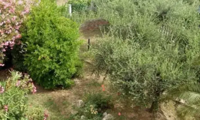Rexer-Corinaldo-Casa-indipendente-in-vendita-in-strada-Fosso-di-Ripe-Giardino