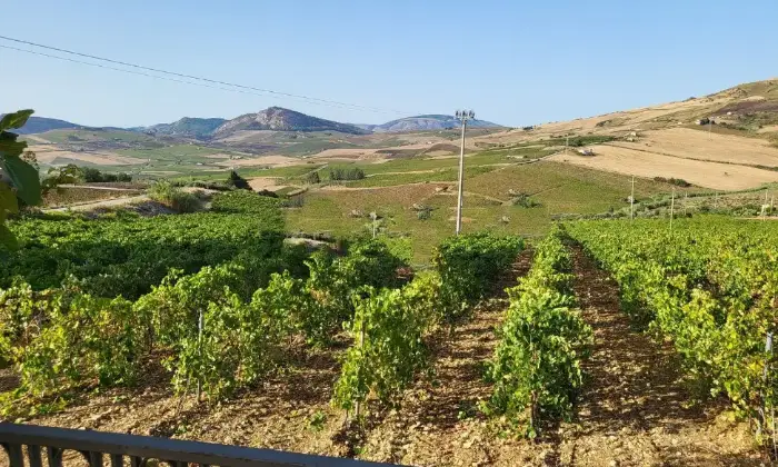 Rexer-Castellammare-del-Golfo-Propriet-rustica-in-vendita-in-contrada-Inici-snc-Terrazzo