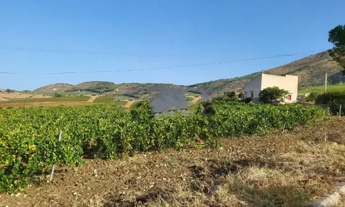 Rexer-Castellammare-del-Golfo-Propriet-rustica-in-vendita-in-contrada-Inici-snc-Terrazzo