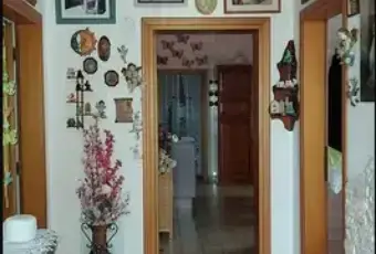 Rexer-Codigoro-Villetta-a-schiera-indipendente-Altro